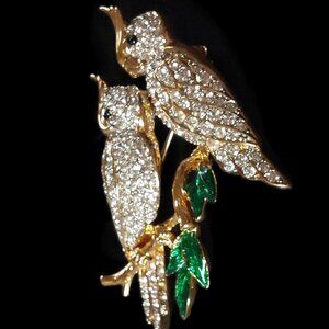 Brilliant Rhinestone Parrot pin broach with an intricate golden setting